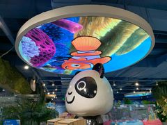 -龟与熊猫宠物公园(南坪店)