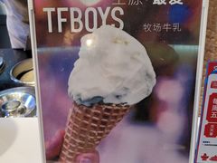 景观位-野人牧坊Gelato(天津南开大悦城店)