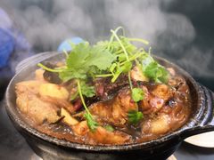 麻辣鲶鱼煲-川香煲(茅台路店)
