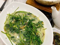 上汤当归叶-原汁原味驴庄(长岭村店)