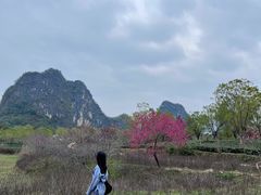 -英西峰林九重天景区