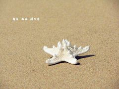 -嵊泗基湖沙滩