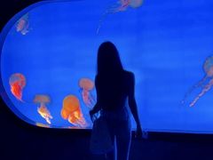 -合肥海洋世界