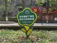 -云碧峰国家森林公园