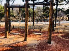 -北京西山国家森林公园