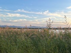 -野鸭湖国家湿地公园