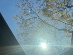 -江南大学(蠡湖校区)