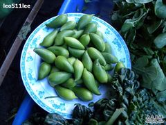 食材-苍洱春饭店