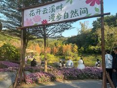 -云溪植物园