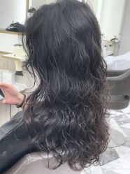 -SALON TV x ILCOLPO