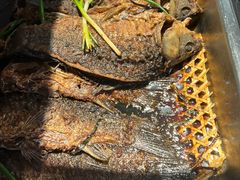 -美乐食街(小南店)