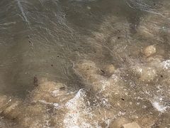 -碧桂园十里银滩