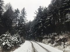 -芦芽山旅游度假区