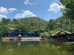 -西双版纳原始森林公园