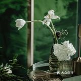 WE禾苡婚礼丨 深邃迷人绿色婚礼