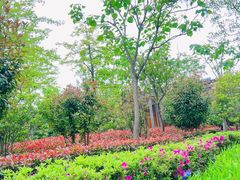 -昆山城市生态森林公园