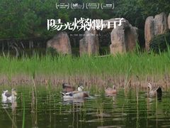 -前关湿地公园