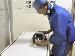 -谐和贝康宠物医院24小时·宠保定点(急重症转诊中心)