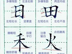 -赵汝飞练字硬笔书法(静安寺校区)