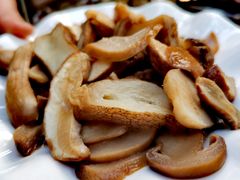 -茶马古道·野生菌清汤黄牛肉(沙溪店)