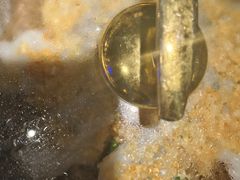 -绿茶餐厅(燕郊永旺店)