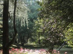 -杭州植物园