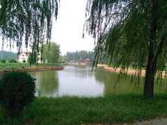 iphone_upload_pic-顺鑫绿色度假村