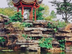 -顺峰山公园