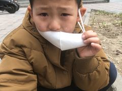 -瑞派·关忠动物医院·异宠专科·犬猫肿瘤·皮肤专科(望京店)