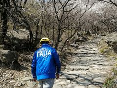 -阳台山自然风景区