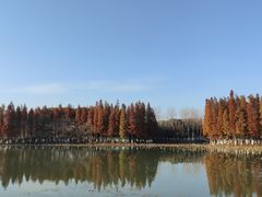 -艾溪湖湿地公园