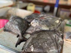 -鸿港海鲜批发市场