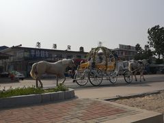 -东戴河风景区-止锚湾