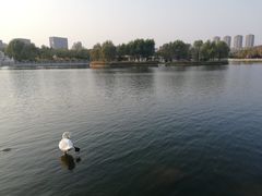 -长春世界雕塑园冰雪艺术天地