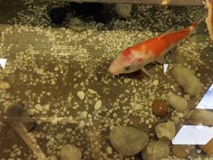 -醉霖生态餐厅(交大店)