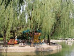 -团结湖公园