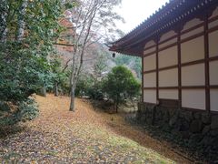 -醍醐寺