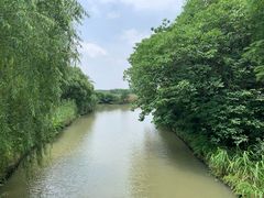 -同里国家湿地公园