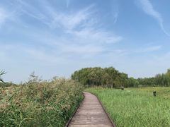 -西青郊野公园