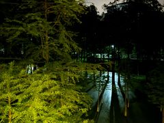 -青山湖景区