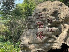 -林中乐辣子鸡(歌乐山总店)
