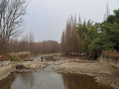 -桤木河湿地公园