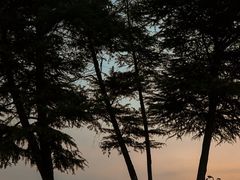 -钟山体育运动公园