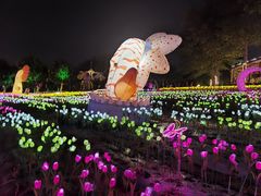 -光明农场大观园