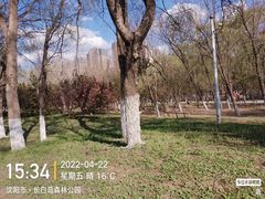 -长白岛森林公园