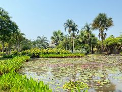 -中国科学院西双版纳热带植物园