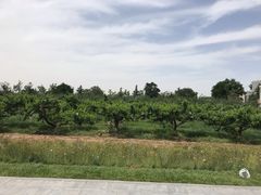 -习仲勋故居
