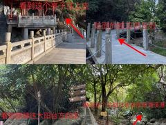 -阳台山森林公园