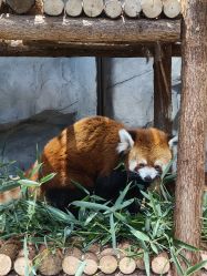 -Zoolung Zoolung动物主题公园(海信广场店)