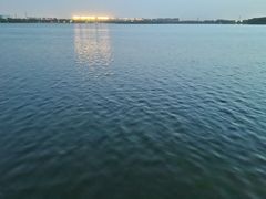 -丁香湖公园